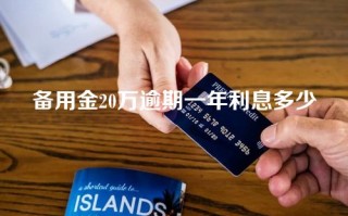 备用金20万逾期一年利息多少