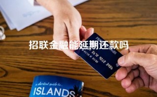 招联金融能延期还款吗