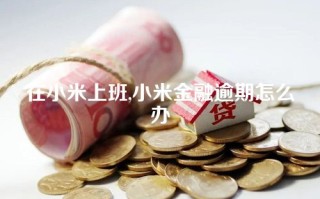 在小米上班,小米金融逾期怎么办