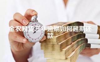 金农易贷三年逾期如何延期还款