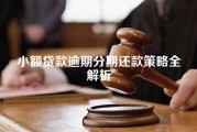 小额贷款逾期分期还款策略全解析