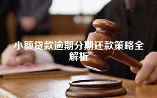 小额贷款逾期分期还款策略全解析