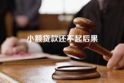 小额贷款还不起后果