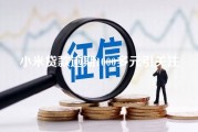 小米贷款逾期1000多元引关注