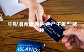 中银消费延期后会产生哪些费用