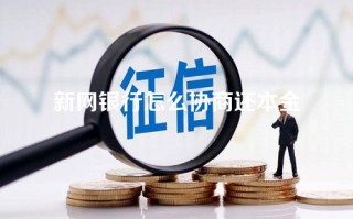 新网银行怎么协商还本金