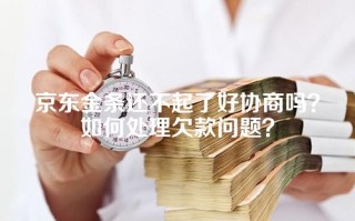 京东金条还不起了好协商吗？如何处理欠款问题？