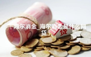 海尔消金_海尔消金是什么网贷