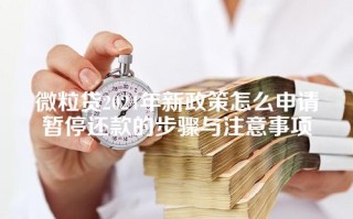 微粒贷2024年新政策怎么申请暂停还款的步骤与注意事项