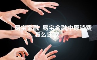 〖易宝金融_易宝金融中原消费怎么还款〗