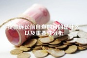 贷款诉讼前自查的目的是什么以及重要性分析