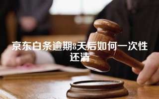 京东白条逾期8天后如何一次性还清