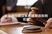 农业银行贷款多久逾期该如何处理