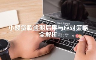 小额贷款逾期后果与应对策略全解析