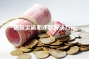 借贷宝逾期还款解决方法