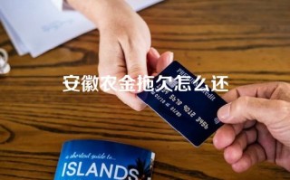 安徽农金拖欠怎么还