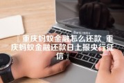 重庆蚂蚁金融怎么还款_重庆蚂蚁金融还款日上报央行征信