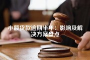 小额贷款逾期半年：影响及解决方案盘点