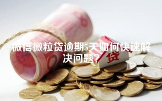 微信微粒贷逾期5天如何快速解决问题？