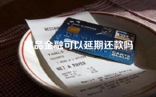 唯品金融可以延期还款吗