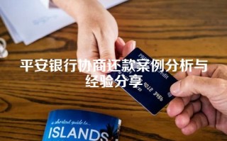 平安银行协商还款案例分析与经验分享