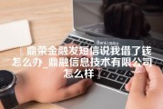 鼎荣金融发短信说我借了钱怎么办_鼎融信息技术有限公司怎么样