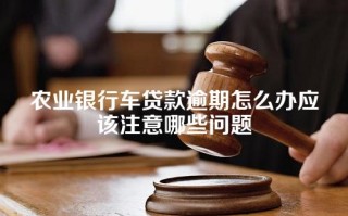 农业银行车贷款逾期怎么办应该注意哪些问题