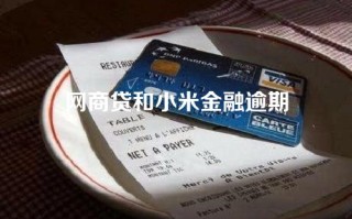 网商贷和小米金融逾期