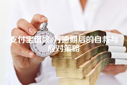 支付宝借呗8万逾期后的自救与应对策略