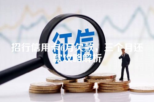 招行信用卡6万欠款，三个月还款攻略解析