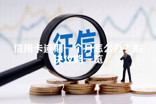 信用卡逾期一个月怎么办？解决攻略一览