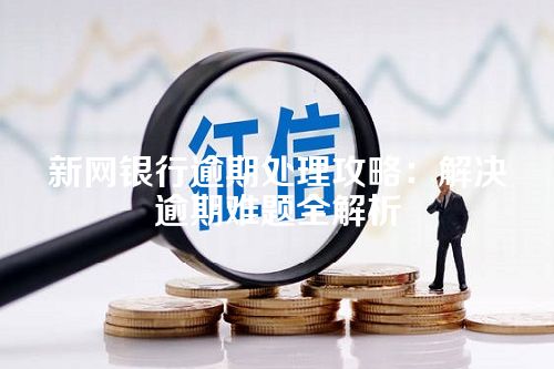 新网银行逾期处理攻略：解决逾期难题全解析