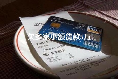 欠多家小额贷款5万