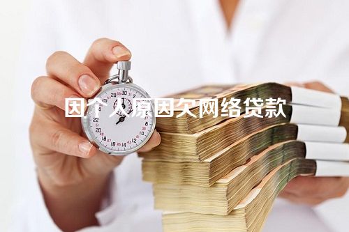 因个人原因欠网络贷款