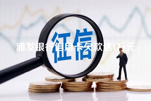 浦发银行信用卡欠款达1万元