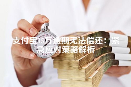 支付宝15万逾期无法偿还：紧急应对策略解析