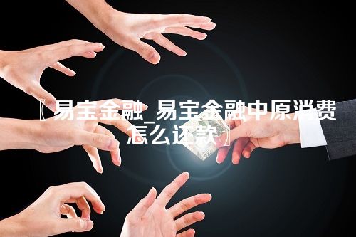 〖易宝金融_易宝金融中原消费怎么还款〗