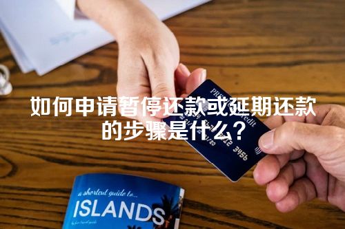 如何申请暂停还款或延期还款的步骤是什么？