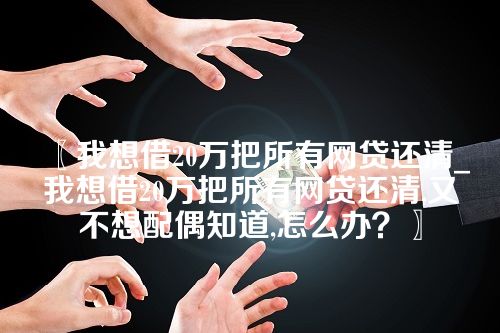 我想借20万把所有网贷还清_我想借20万把所有网贷还清,又不想配偶知道,怎么办？