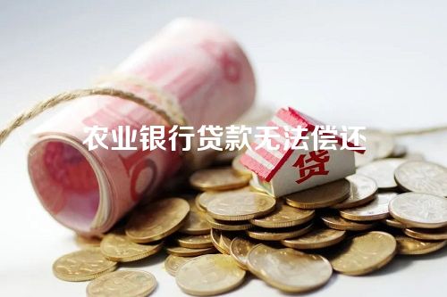 农业银行贷款无法偿还