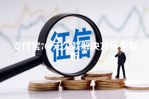 支付宝700元欠款解决方案全解析