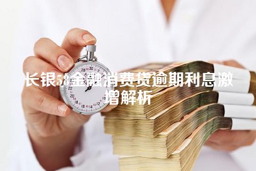 长银58金融消费贷逾期利息激增解析