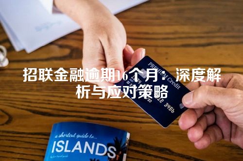 招联金融逾期16个月：深度解析与应对策略