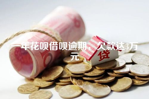 一年花呗借呗逾期，欠款达3万元