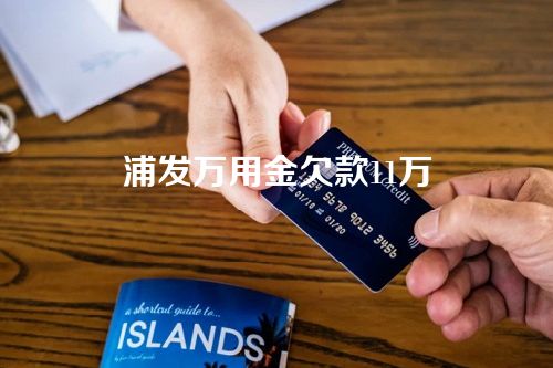 浦发万用金欠款11万