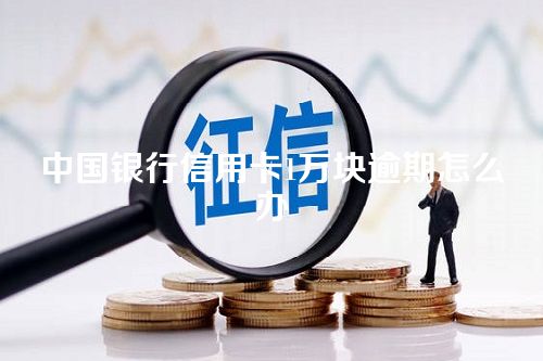 中国银行信用卡1万块逾期怎么办