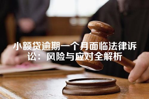 小额贷逾期一个月面临法律诉讼：风险与应对全解析