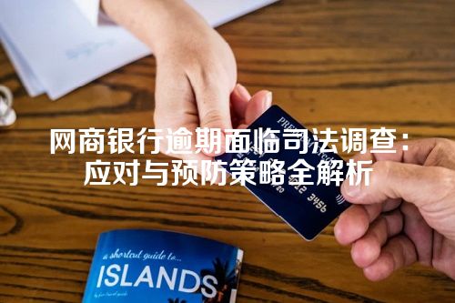 网商银行逾期面临司法调查：应对与预防策略全解析