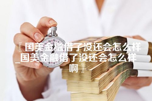 国美金融借了没还会怎么样_国美金融借了没还会怎么样啊