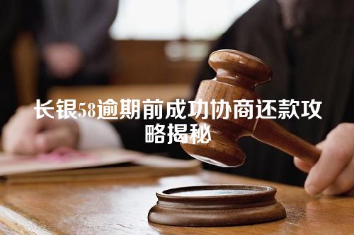 长银58逾期前成功协商还款攻略揭秘